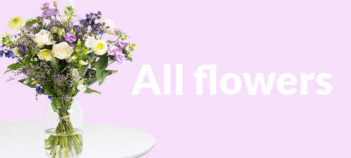 Send flowers online