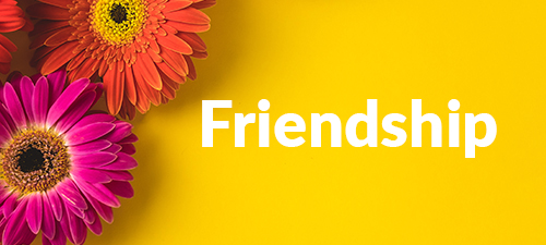 Celebrate your friendship with a delivery of flowers