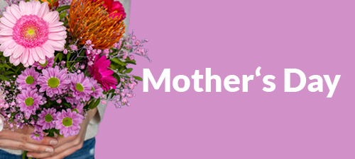 Send fresh flowers for Mother's Day