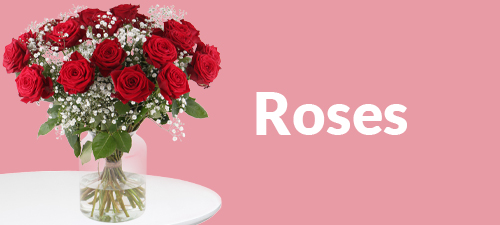 Roses delivery
