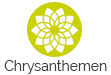 Chrysantheme