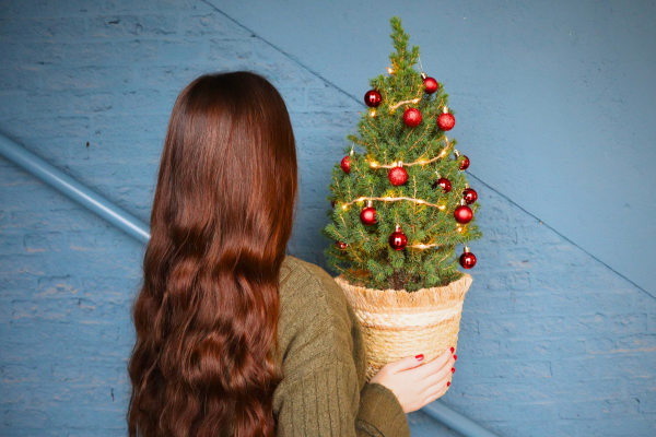 Small Christmas Tree