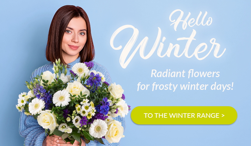 Send Winter Flowers and Make Someone Smile